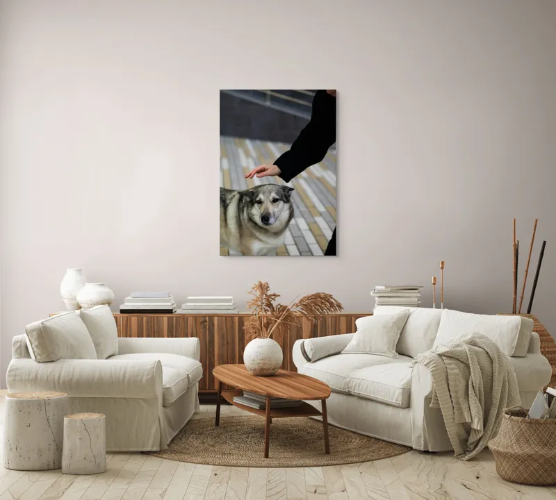 Tablou Canvas, "Persoană mângâind un câine prietenos", Câine, Mângâiere, Blană, Privire, Afecțiune, Exterior, Bariere, Zid, Acțiune, 70 x 100 cm – poza 4