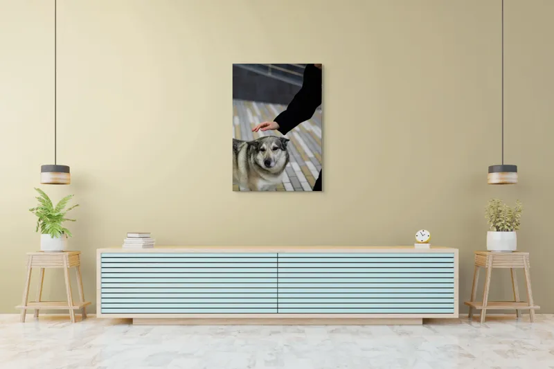 Tablou Canvas, "Persoană mângâind un câine prietenos", Câine, Mângâiere, Blană, Privire, Afecțiune, Exterior, Bariere, Zid, Acțiune, 70 x 100 cm – poza 5