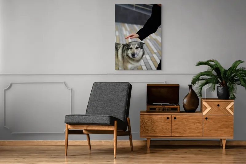 Tablou Canvas, "Persoană mângâind un câine prietenos", Câine, Mângâiere, Blană, Privire, Afecțiune, Exterior, Bariere, Zid, Acțiune, 70 x 100 cm – poza 6