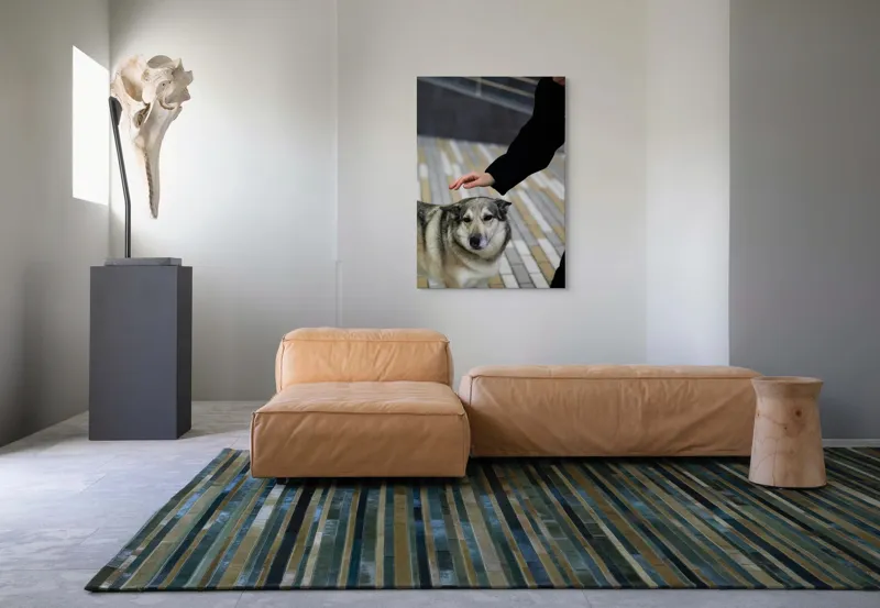 Tablou Canvas, "Persoană mângâind un câine prietenos", Câine, Mângâiere, Blană, Privire, Afecțiune, Exterior, Bariere, Zid, Acțiune, 70 x 100 cm – poza 7
