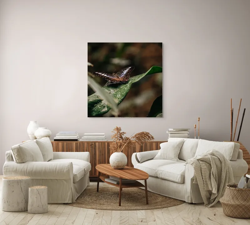 Tablou Canvas, "Fluture pe frunza udă în pădure", Aripi, Frunza, Picături, Natură, Fragilitate, Verde, Eleganță, Zbor, 100 x 100 cm – poza 3