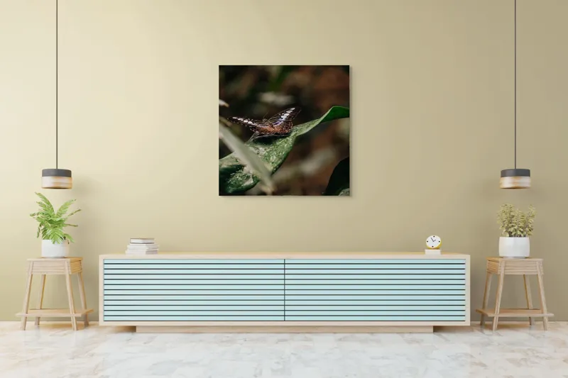Tablou Canvas, "Fluture pe frunza udă în pădure", Aripi, Frunza, Picături, Natură, Fragilitate, Verde, Eleganță, Zbor, 100 x 100 cm – poza 5