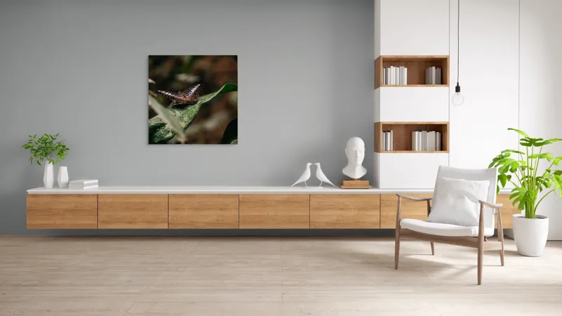 Tablou Canvas, "Fluture pe frunza udă în pădure", Aripi, Frunza, Picături, Natură, Fragilitate, Verde, Eleganță, Zbor, 100 x 100 cm – poza 8