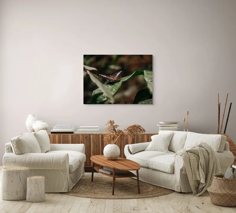 Tablou Canvas, "Fluture pe frunza udă în pădure", Aripi, Frunza, Picături, Natură, Fragilitate, Verde, Eleganță, Zbor, 100 x 70 cm – poza 3