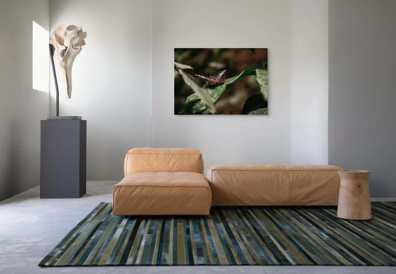 Tablou Canvas, "Fluture pe frunza udă în pădure", Aripi, Frunza, Picături, Natură, Fragilitate, Verde, Eleganță, Zbor, 100 x 70 cm – poza 7