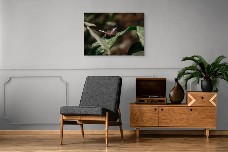 Tablou Canvas, "Fluture pe frunza udă în pădure", Aripi, Frunza, Picături, Natură, Fragilitate, Verde, Eleganță, Zbor, 100 x 70 cm – poza 8