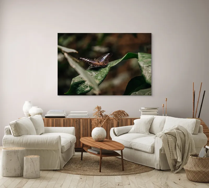 Tablou Canvas, "Fluture pe frunza udă în pădure", Aripi, Frunza, Picături, Natură, Fragilitate, Verde, Eleganță, Zbor, 150 x 100 cm – poza 3