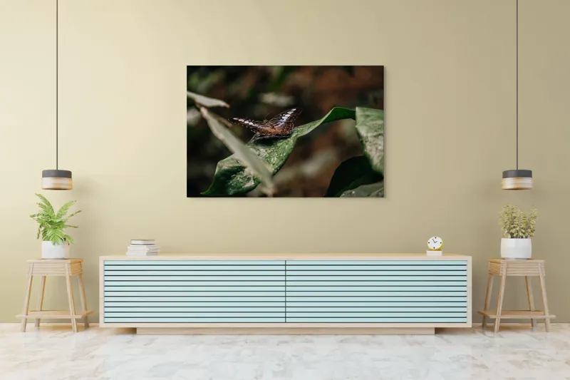 Tablou Canvas, "Fluture pe frunza udă în pădure", Aripi, Frunza, Picături, Natură, Fragilitate, Verde, Eleganță, Zbor, 150 x 100 cm – poza 6
