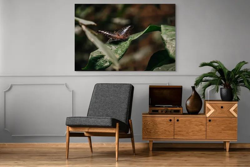 Tablou Canvas, "Fluture pe frunza udă în pădure", Aripi, Frunza, Picături, Natură, Fragilitate, Verde, Eleganță, Zbor, 150 x 100 cm – poza 8