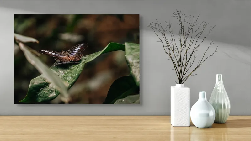 Tablou Canvas, "Fluture pe frunza udă în pădure", Aripi, Frunza, Picături, Natură, Fragilitate, Verde, Eleganță, Zbor, 70 x 50 cm – poza 3