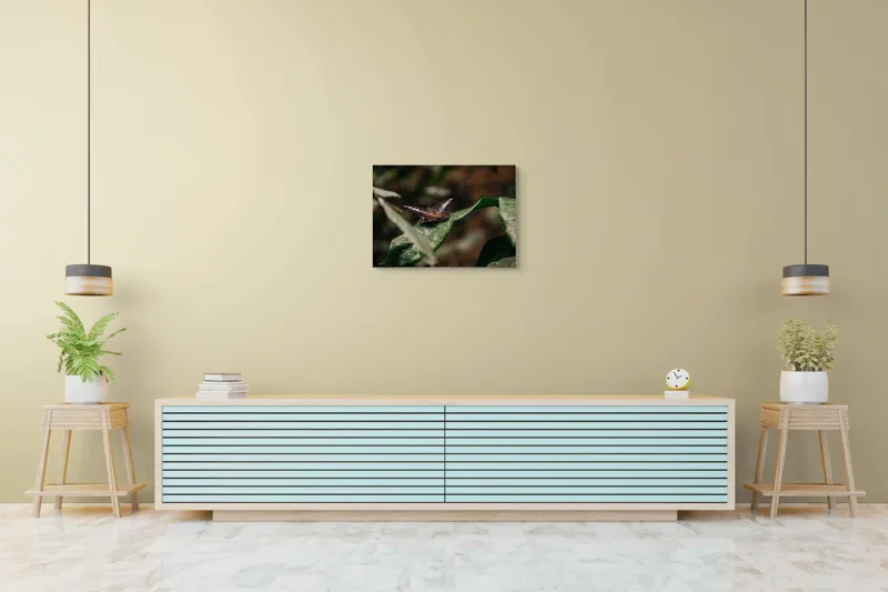 Tablou Canvas, "Fluture pe frunza udă în pădure", Aripi, Frunza, Picături, Natură, Fragilitate, Verde, Eleganță, Zbor, 70 x 50 cm – poza 7