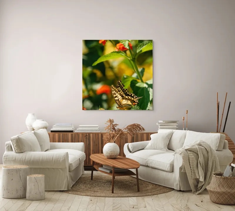 Tablou Canvas, "Fluture grațios pe flori portocalii", Fluture, Aripi, Floare, Portocaliu, Verde, Vreme, Soare, Natura, Frumusete, Gratie, 100 x 100 cm – poza 3