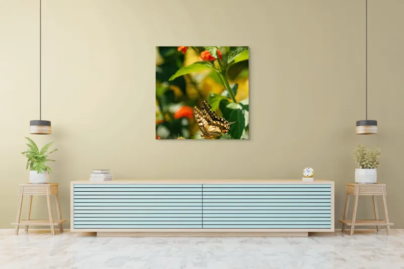 Tablou Canvas, "Fluture grațios pe flori portocalii", Fluture, Aripi, Floare, Portocaliu, Verde, Vreme, Soare, Natura, Frumusete, Gratie, 100 x 100 cm – poza 5
