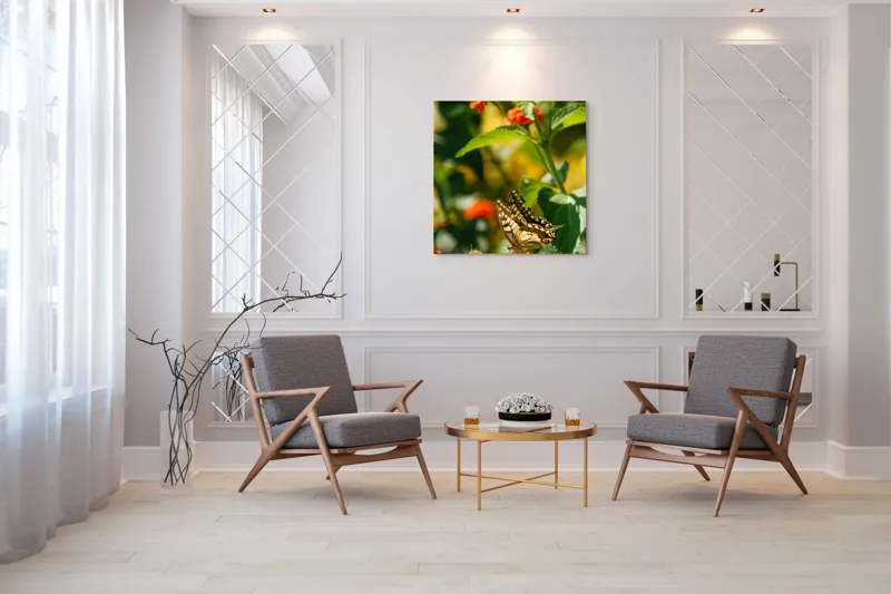 Tablou Canvas, "Fluture grațios pe flori portocalii", Fluture, Aripi, Floare, Portocaliu, Verde, Vreme, Soare, Natura, Frumusete, Gratie, 100 x 100 cm – poza 7