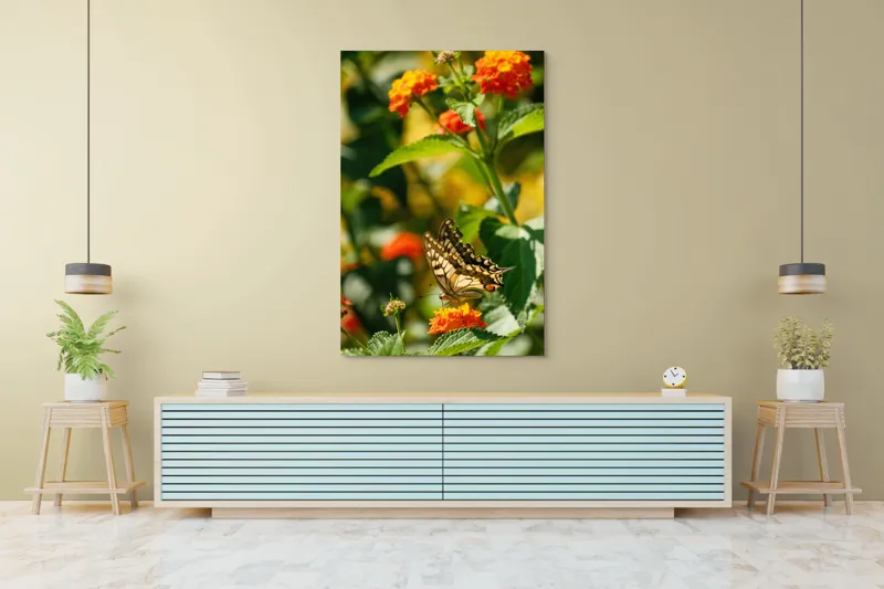 Tablou Canvas, "Fluture grațios pe flori portocalii", Fluture, Aripi, Floare, Portocaliu, Verde, Vreme, Soare, Natura, Frumusete, Gratie, 100 x 150 cm – poza 4