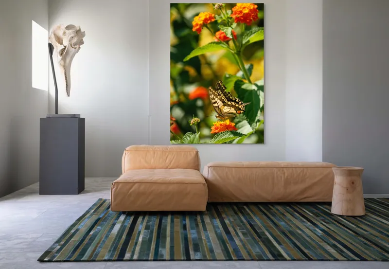 Tablou Canvas, "Fluture grațios pe flori portocalii", Fluture, Aripi, Floare, Portocaliu, Verde, Vreme, Soare, Natura, Frumusete, Gratie, 100 x 150 cm – poza 7