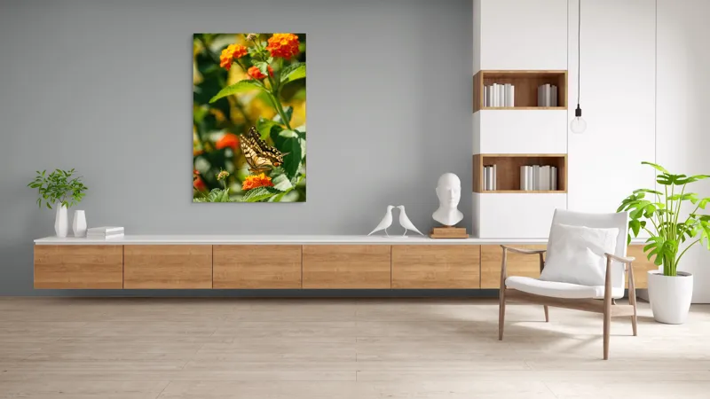 Tablou Canvas, "Fluture grațios pe flori portocalii", Fluture, Aripi, Floare, Portocaliu, Verde, Vreme, Soare, Natura, Frumusete, Gratie, 100 x 150 cm – poza 8