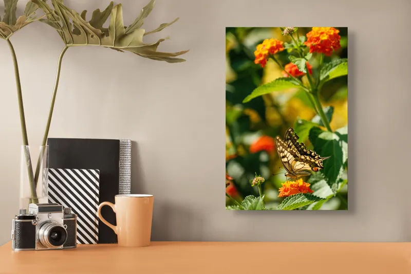 Tablou Canvas, "Fluture grațios pe flori portocalii", Fluture, Aripi, Floare, Portocaliu, Verde, Vreme, Soare, Natura, Frumusete, Gratie, 26 x 39 cm – poza 3