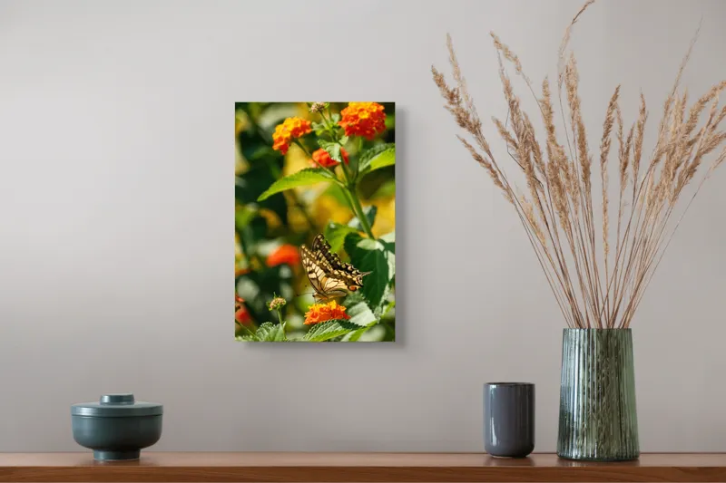 Tablou Canvas, "Fluture grațios pe flori portocalii", Fluture, Aripi, Floare, Portocaliu, Verde, Vreme, Soare, Natura, Frumusete, Gratie, 26 x 39 cm – poza 5