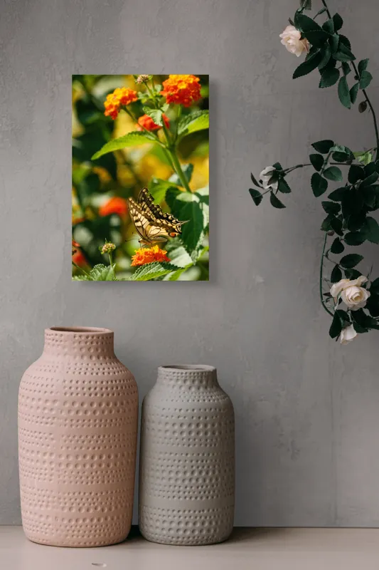 Tablou Canvas, "Fluture grațios pe flori portocalii", Fluture, Aripi, Floare, Portocaliu, Verde, Vreme, Soare, Natura, Frumusete, Gratie, 26 x 39 cm – poza 6