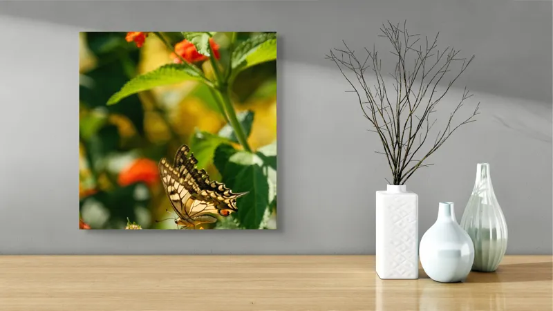 Tablou Canvas, "Fluture grațios pe flori portocalii", Fluture, Aripi, Floare, Portocaliu, Verde, Vreme, Soare, Natura, Frumusete, Gratie, 50 x 50 cm – poza 3