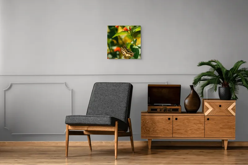 Tablou Canvas, "Fluture grațios pe flori portocalii", Fluture, Aripi, Floare, Portocaliu, Verde, Vreme, Soare, Natura, Frumusete, Gratie, 50 x 50 cm – poza 6