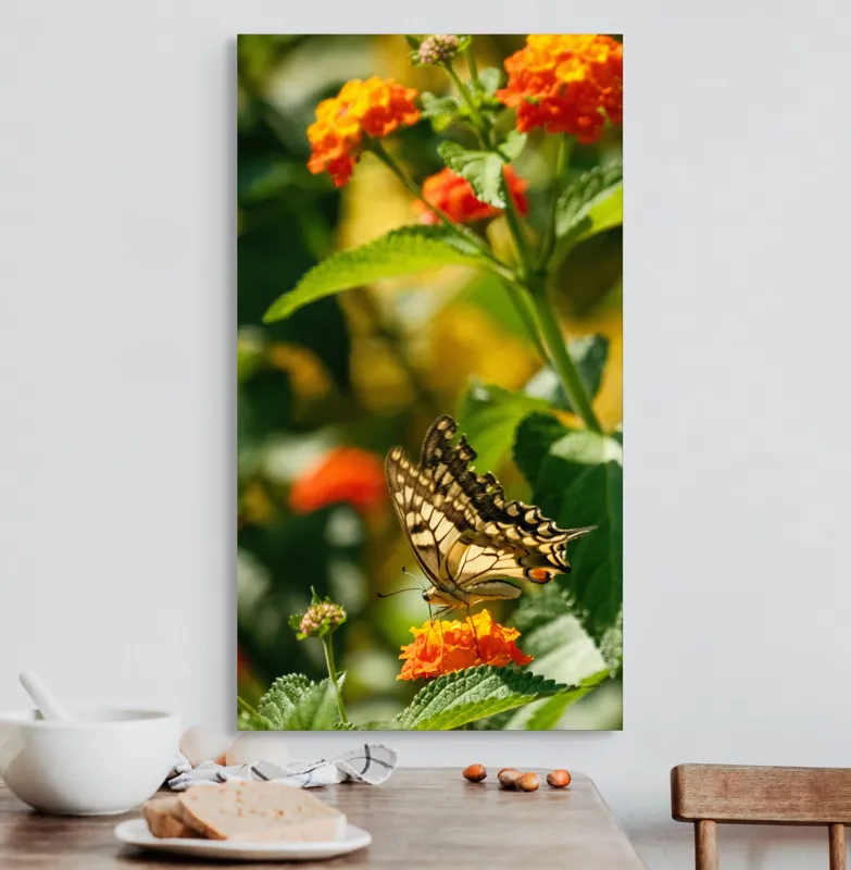 Tablou Canvas, "Fluture grațios pe flori portocalii", Fluture, Aripi, Floare, Portocaliu, Verde, Vreme, Soare, Natura, Frumusete, Gratie, 50 x 90 cm – poza 3