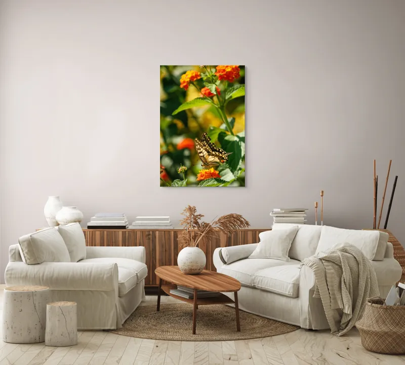 Tablou Canvas, "Fluture grațios pe flori portocalii", Fluture, Aripi, Floare, Portocaliu, Verde, Vreme, Soare, Natura, Frumusete, Gratie, 70 x 100 cm – poza 4