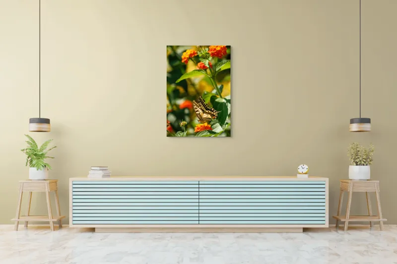 Tablou Canvas, "Fluture grațios pe flori portocalii", Fluture, Aripi, Floare, Portocaliu, Verde, Vreme, Soare, Natura, Frumusete, Gratie, 70 x 100 cm – poza 5