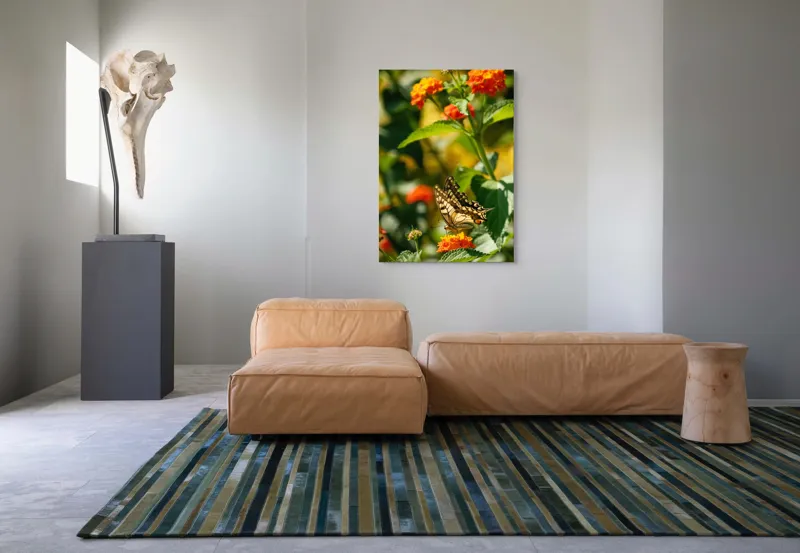 Tablou Canvas, "Fluture grațios pe flori portocalii", Fluture, Aripi, Floare, Portocaliu, Verde, Vreme, Soare, Natura, Frumusete, Gratie, 70 x 100 cm – poza 7