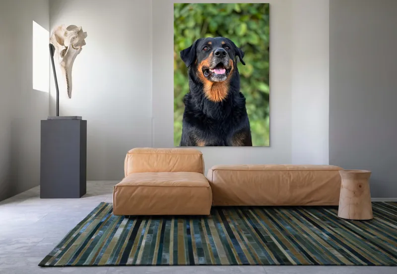 Tablou Canvas, "Zâmbetul prietenos al câinelui blând", Nu pot identifica persoana sau obiectul din imagine., 100 x 150 cm – poza 7
