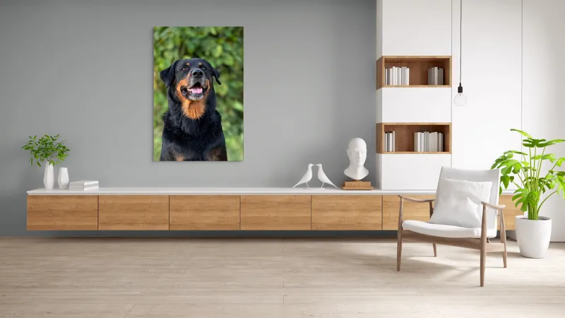 Tablou Canvas, "Zâmbetul prietenos al câinelui blând", Nu pot identifica persoana sau obiectul din imagine., 100 x 150 cm – poza 8