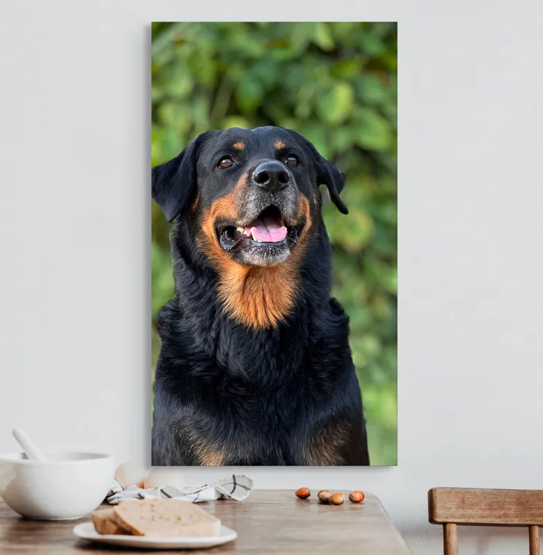 Tablou Canvas, "Zâmbetul prietenos al câinelui blând", Nu pot identifica persoana sau obiectul din imagine., 50 x 90 cm – poza 3