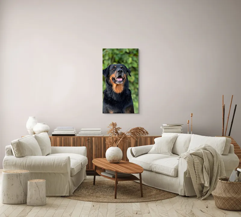 Tablou Canvas, "Zâmbetul prietenos al câinelui blând", Nu pot identifica persoana sau obiectul din imagine., 50 x 90 cm – poza 7