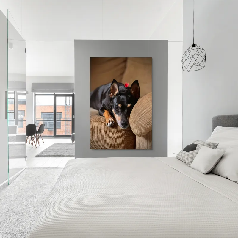 Tablou Canvas, "Cățelul odihnindu-se pe canapea", Adorable, Relaxed, Curious, Soft, Cozy, Alert, Petite, Cute, 100 x 150 cm – poza 5
