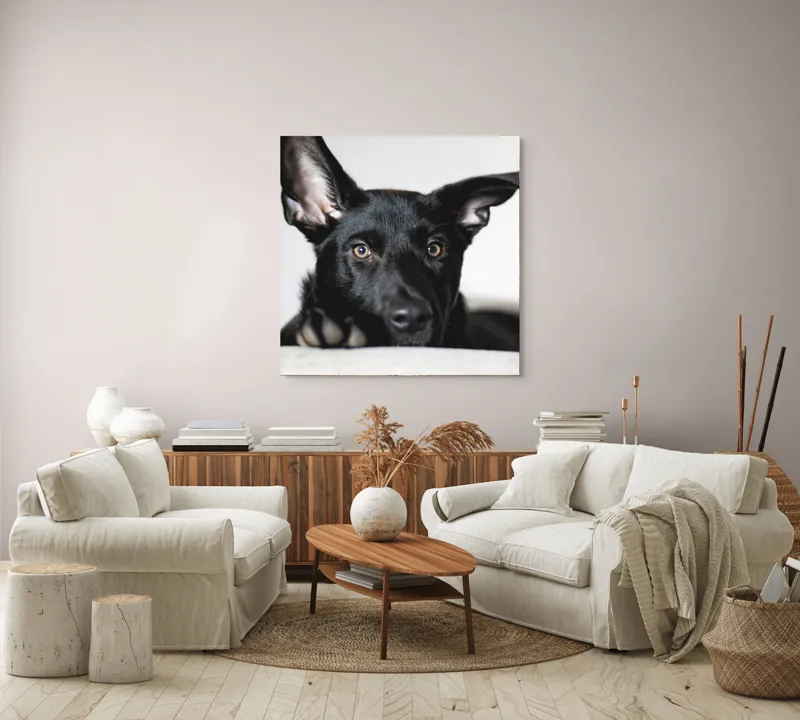 Tablou Canvas, "Urechiușe atente și privire jucăușă", 100 x 100 cm – poza 3