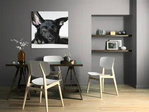 Tablou Canvas, "Urechiușe atente și privire jucăușă", 100 x 100 cm – poza 6