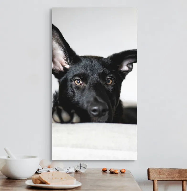 Tablou Canvas, "Urechiușe atente și privire jucăușă", 50 x 90 cm – poza 3