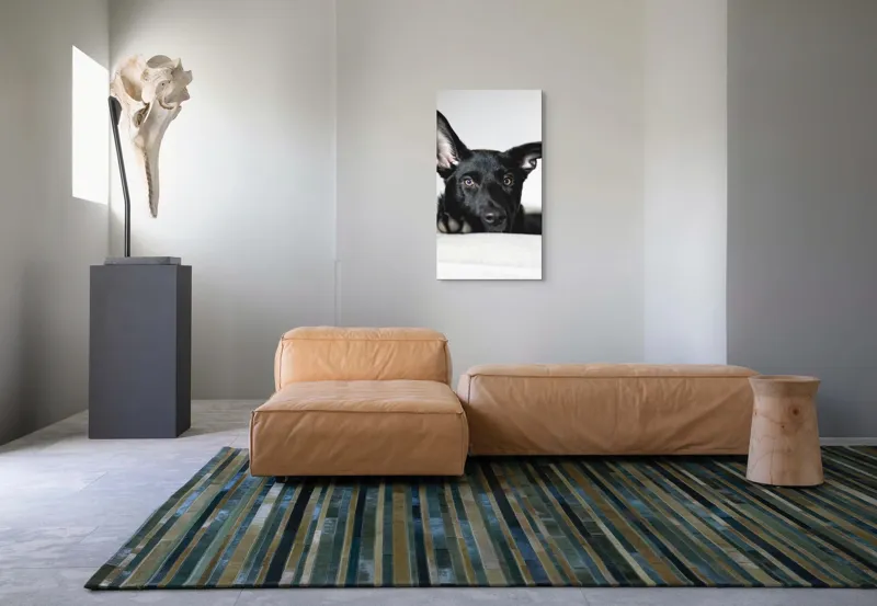 Tablou Canvas, "Urechiușe atente și privire jucăușă", 50 x 90 cm – poza 5