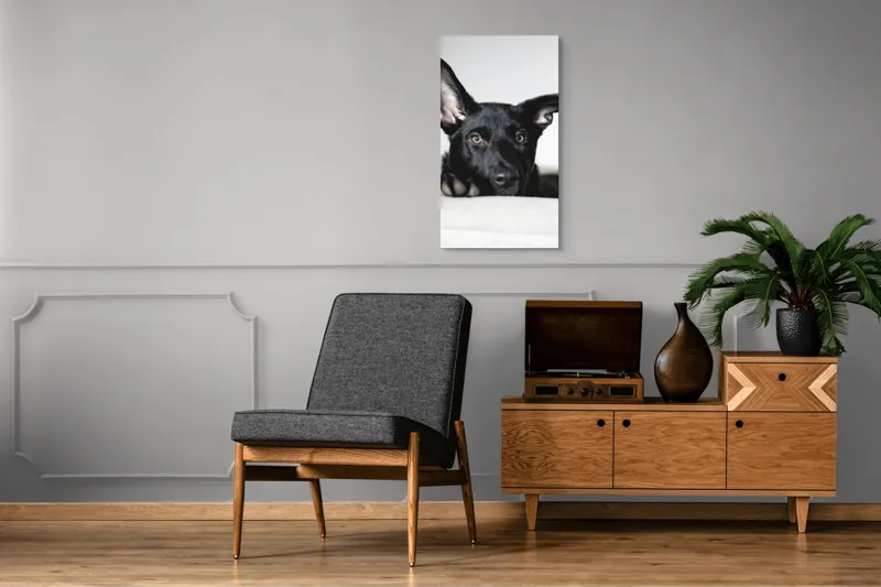 Tablou Canvas, "Urechiușe atente și privire jucăușă", 50 x 90 cm – poza 8