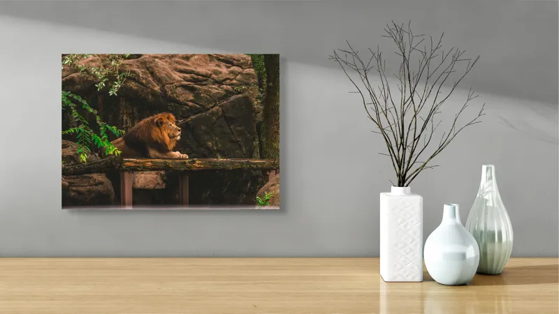 Tablou Canvas, "Regele leu în habitatul său natural", Majestic, Regal, Powerful, Serene, Observant, Natural, Kingly, Relaxed, 54 x 39 cm – poza 3