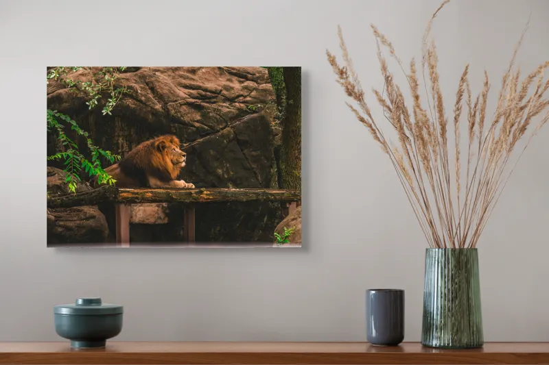 Tablou Canvas, "Regele leu în habitatul său natural", Majestic, Regal, Powerful, Serene, Observant, Natural, Kingly, Relaxed, 54 x 39 cm – poza 4