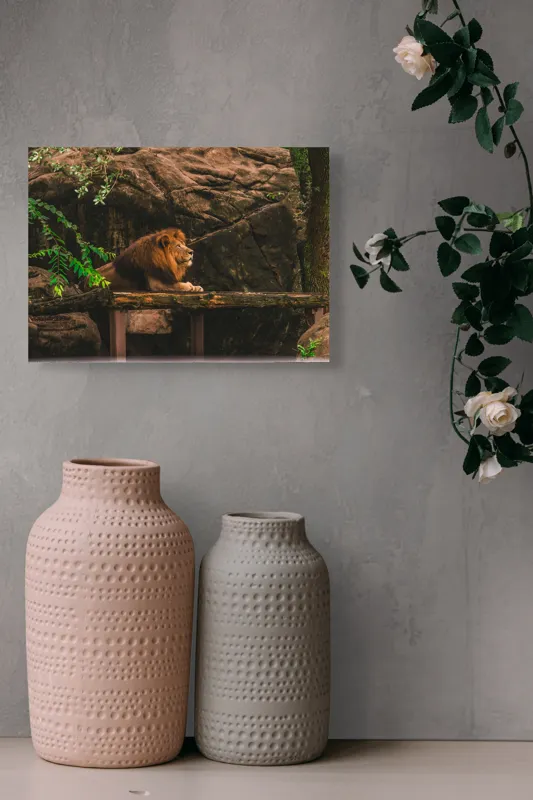 Tablou Canvas, "Regele leu în habitatul său natural", Majestic, Regal, Powerful, Serene, Observant, Natural, Kingly, Relaxed, 54 x 39 cm – poza 8