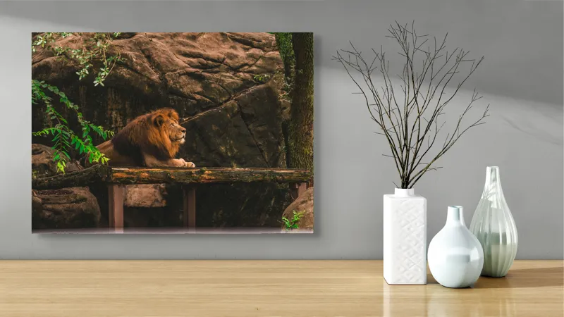 Tablou Canvas, "Regele leu în habitatul său natural", Majestic, Regal, Powerful, Serene, Observant, Natural, Kingly, Relaxed, 70 x 50 cm – poza 3