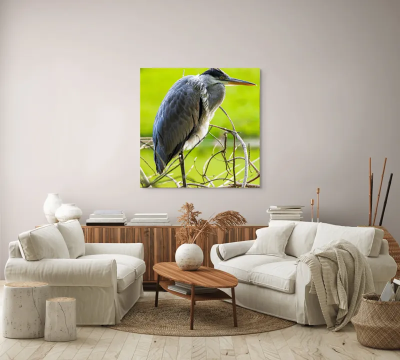 Tablou Canvas, "Egreta în așteptarea prăzii", Pasăre, Stuf, Pene, Gât-Lung, Ochi, Cioc, Ramură, Verde, Natură., 100 x 100 cm – poza 3