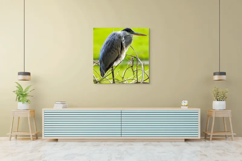 Tablou Canvas, "Egreta în așteptarea prăzii", Pasăre, Stuf, Pene, Gât-Lung, Ochi, Cioc, Ramură, Verde, Natură., 100 x 100 cm – poza 5