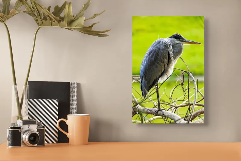 Tablou Canvas, "Egreta în așteptarea prăzii", Pasăre, Stuf, Pene, Gât-Lung, Ochi, Cioc, Ramură, Verde, Natură., 26 x 39 cm – poza 3
