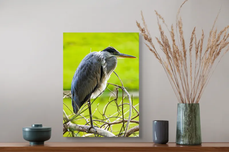 Tablou Canvas, "Egreta în așteptarea prăzii", Pasăre, Stuf, Pene, Gât-Lung, Ochi, Cioc, Ramură, Verde, Natură., 39 x 54 cm – poza 3