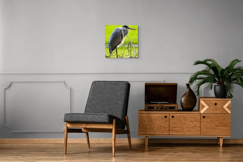Tablou Canvas, "Egreta în așteptarea prăzii", Pasăre, Stuf, Pene, Gât-Lung, Ochi, Cioc, Ramură, Verde, Natură., 50 x 50 cm – poza 6