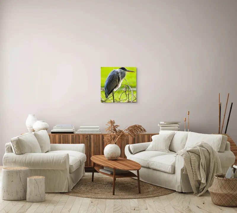 Tablou Canvas, "Egreta în așteptarea prăzii", Pasăre, Stuf, Pene, Gât-Lung, Ochi, Cioc, Ramură, Verde, Natură., 50 x 50 cm – poza 7